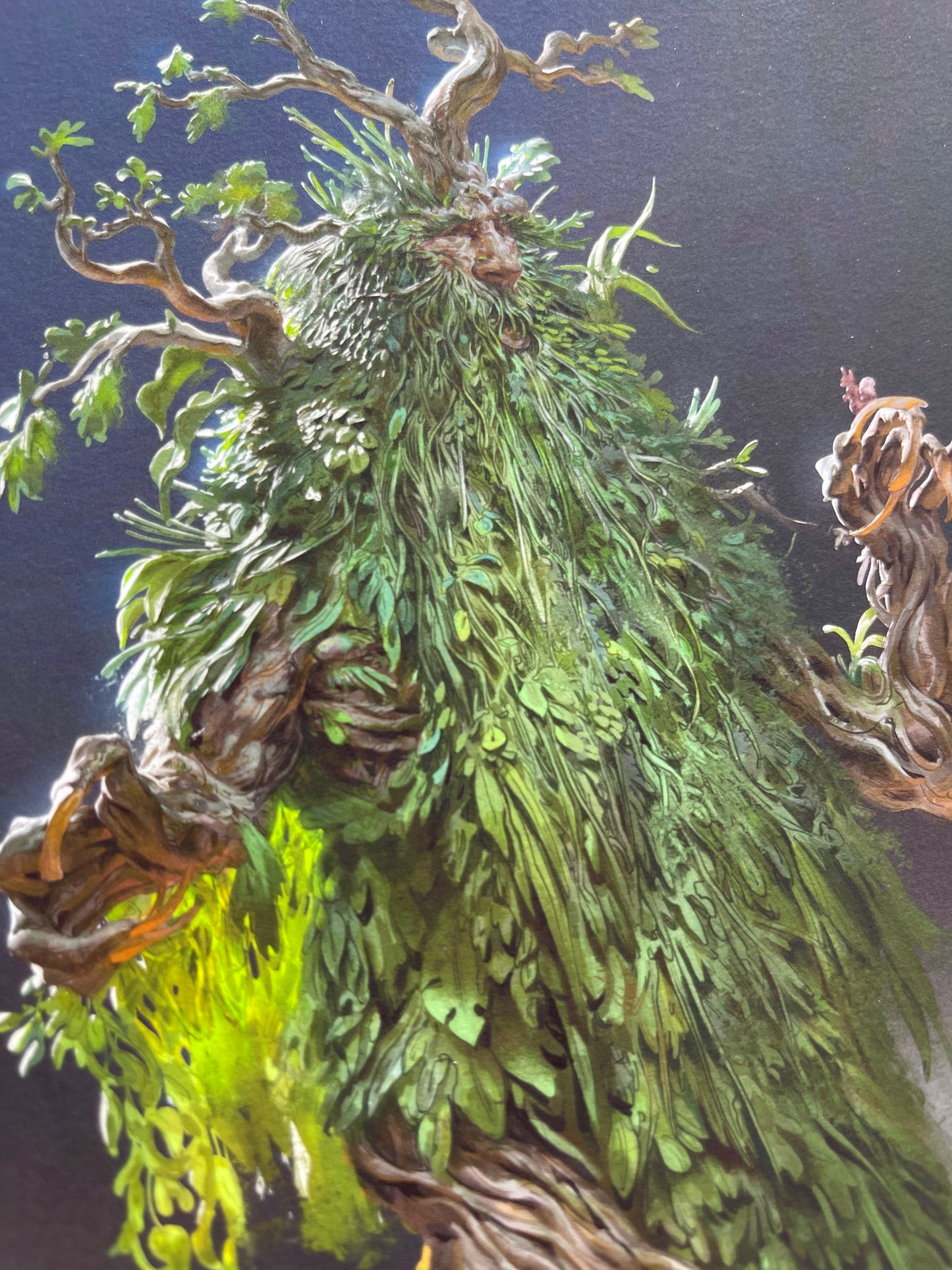 Treebeard by Even Mehl Amundsen based on The Lord of the Rings | Size L